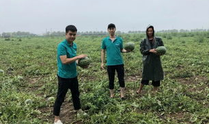 潮阳群众吃瓜网最新消息,揭秘潮阳最新热点事件，一网打尽！