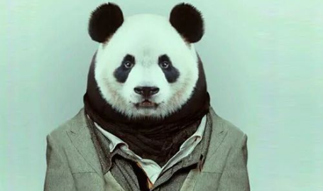 小姐姐说我熬夜怎么回复,巧妙回应展现智慧与幽默
